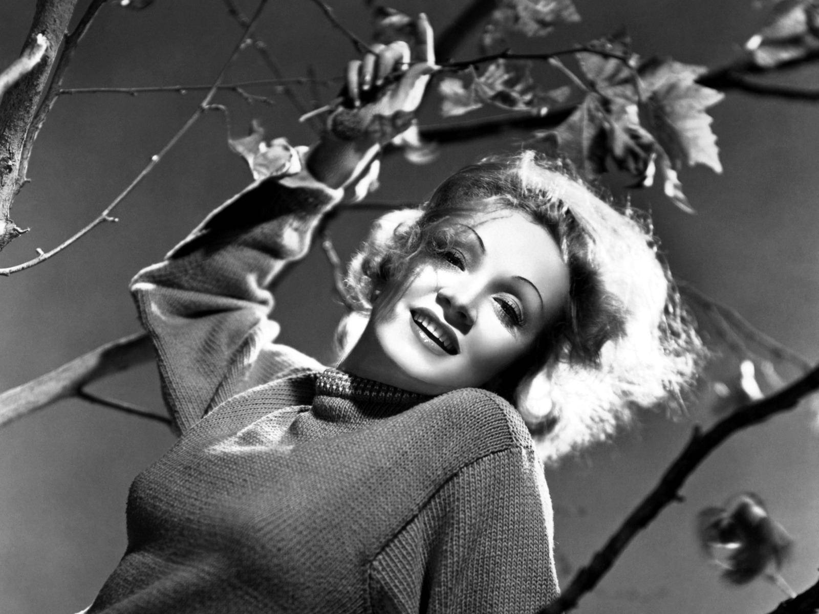 Marlene Dietrich Tree Branches Wallpaper