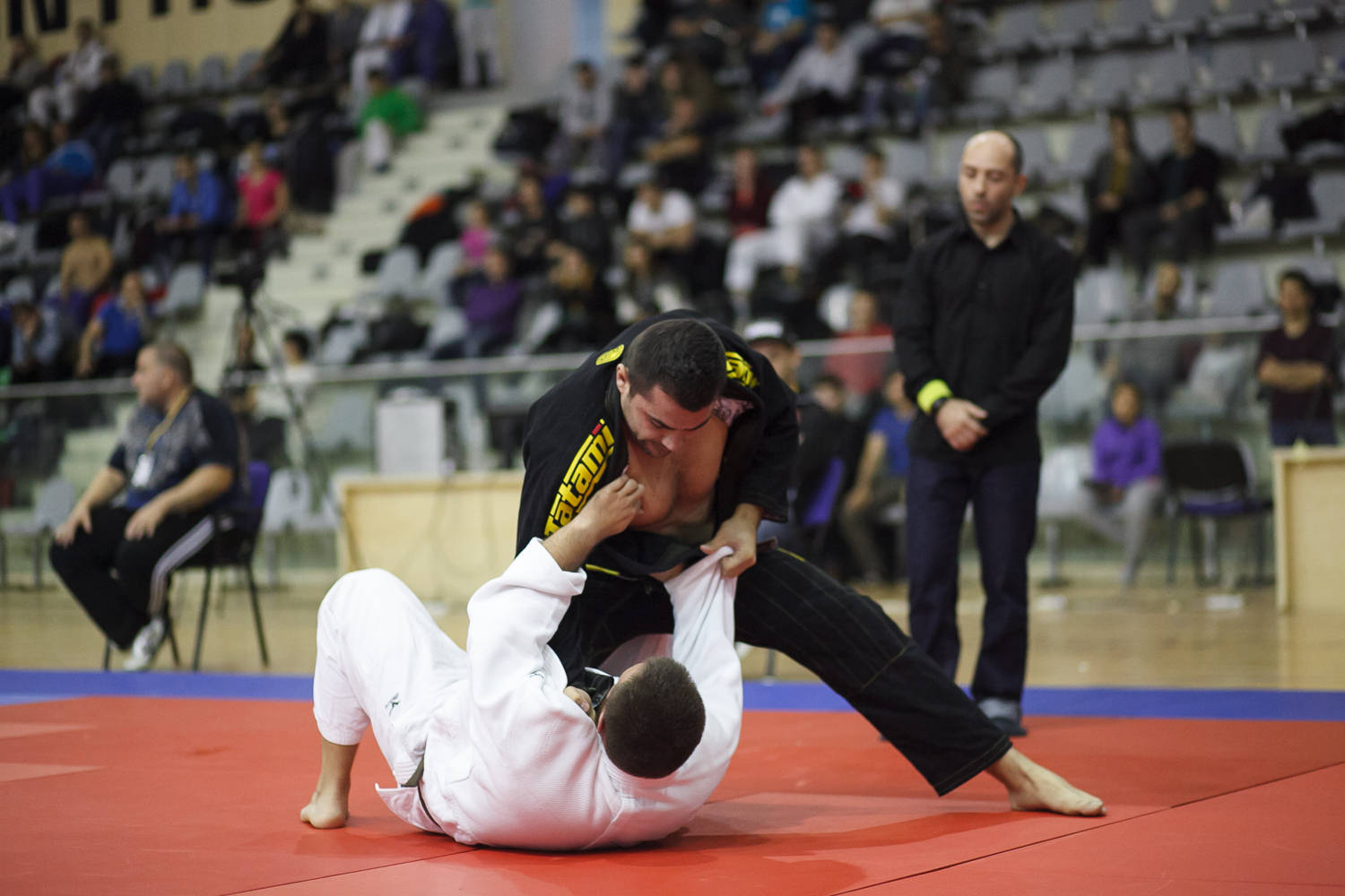 Martial Art Brazilian Jiu-jitsu Wallpaper