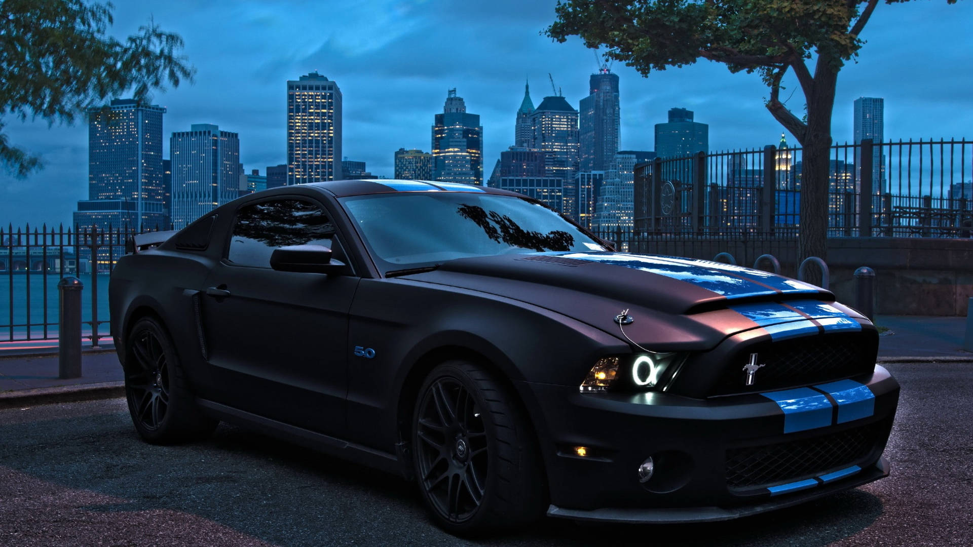 Matte Black Ford Mustang Hd Wallpaper