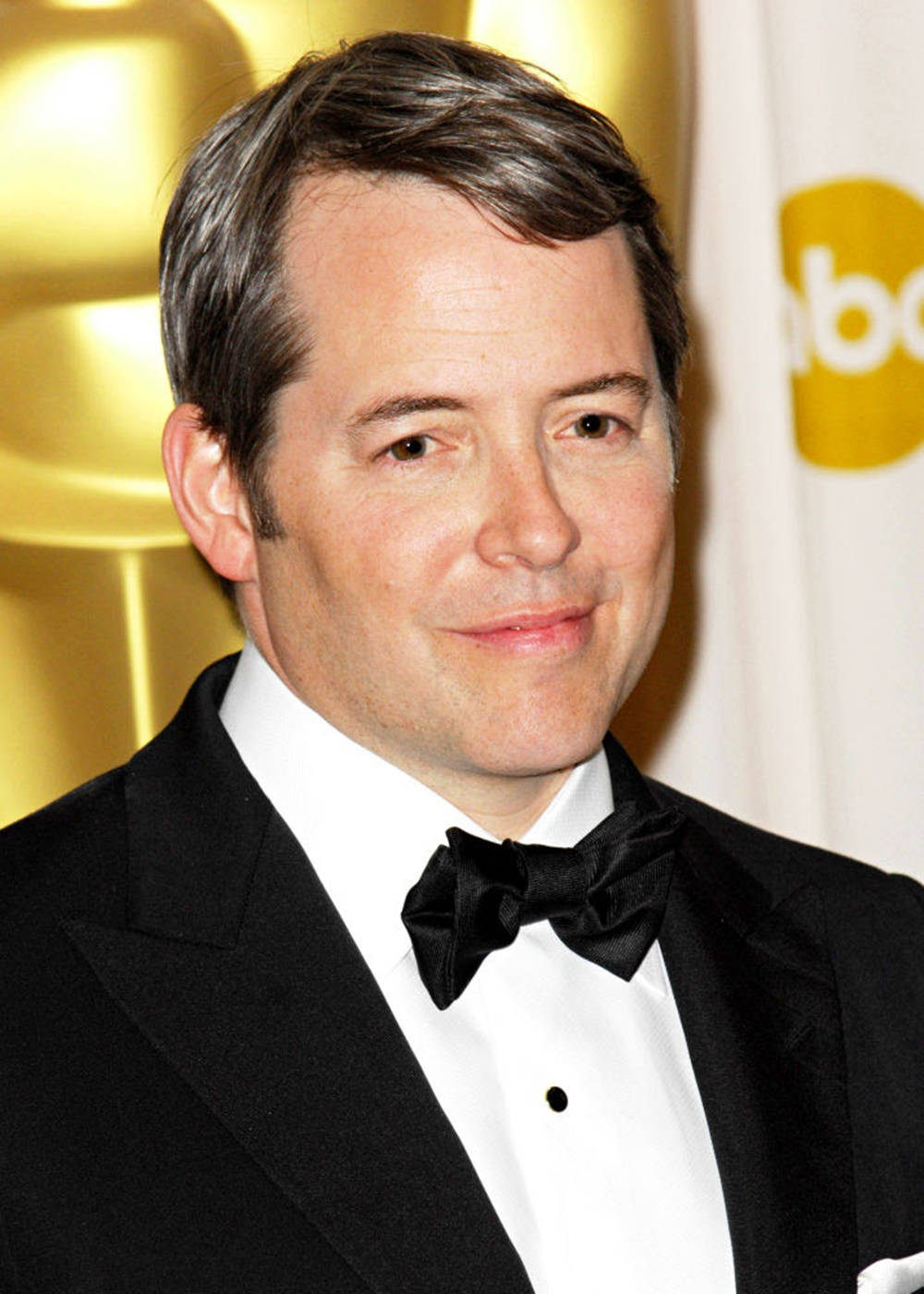 Matthew Broderick, Distinguished American Actor Wallpaper