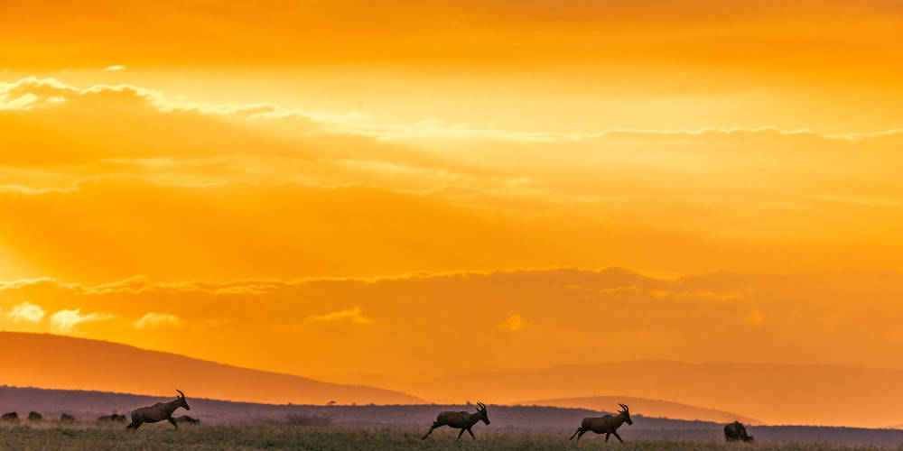 Mauritania Orange Sky Wallpaper