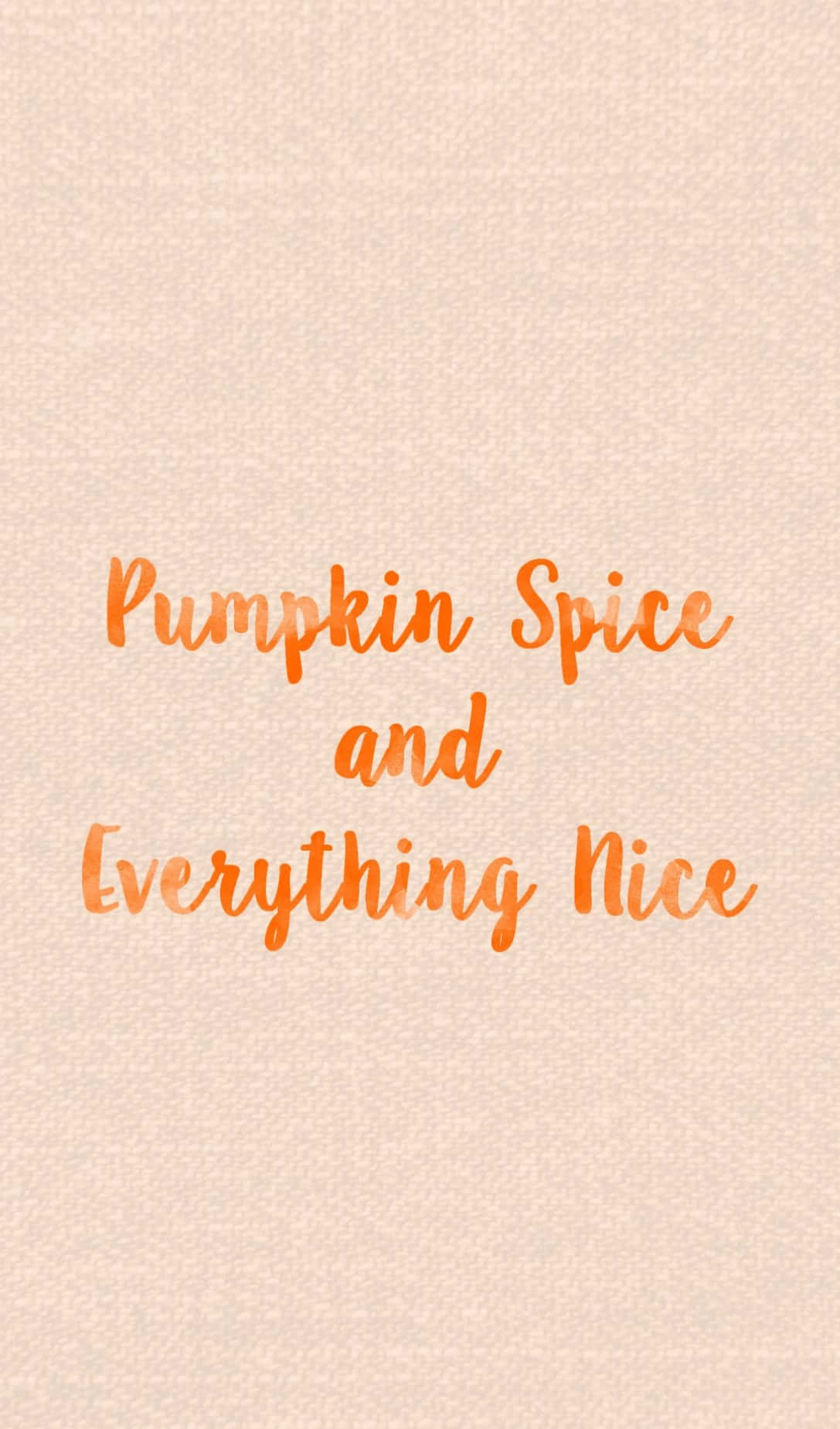 Meet Cute Orange Wallpaper
