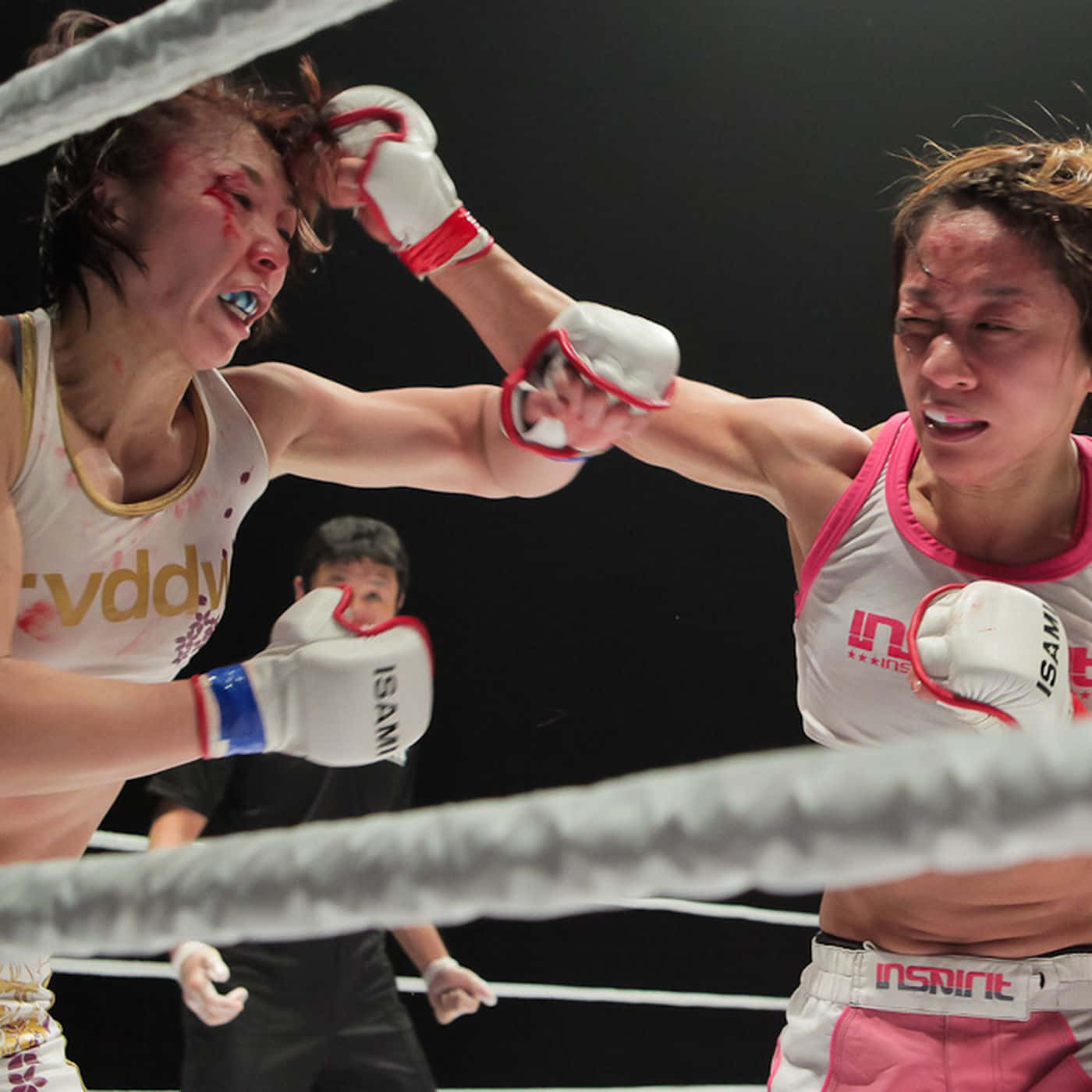 Megumi Fujii In Her Fighting Stance. Wallpaper