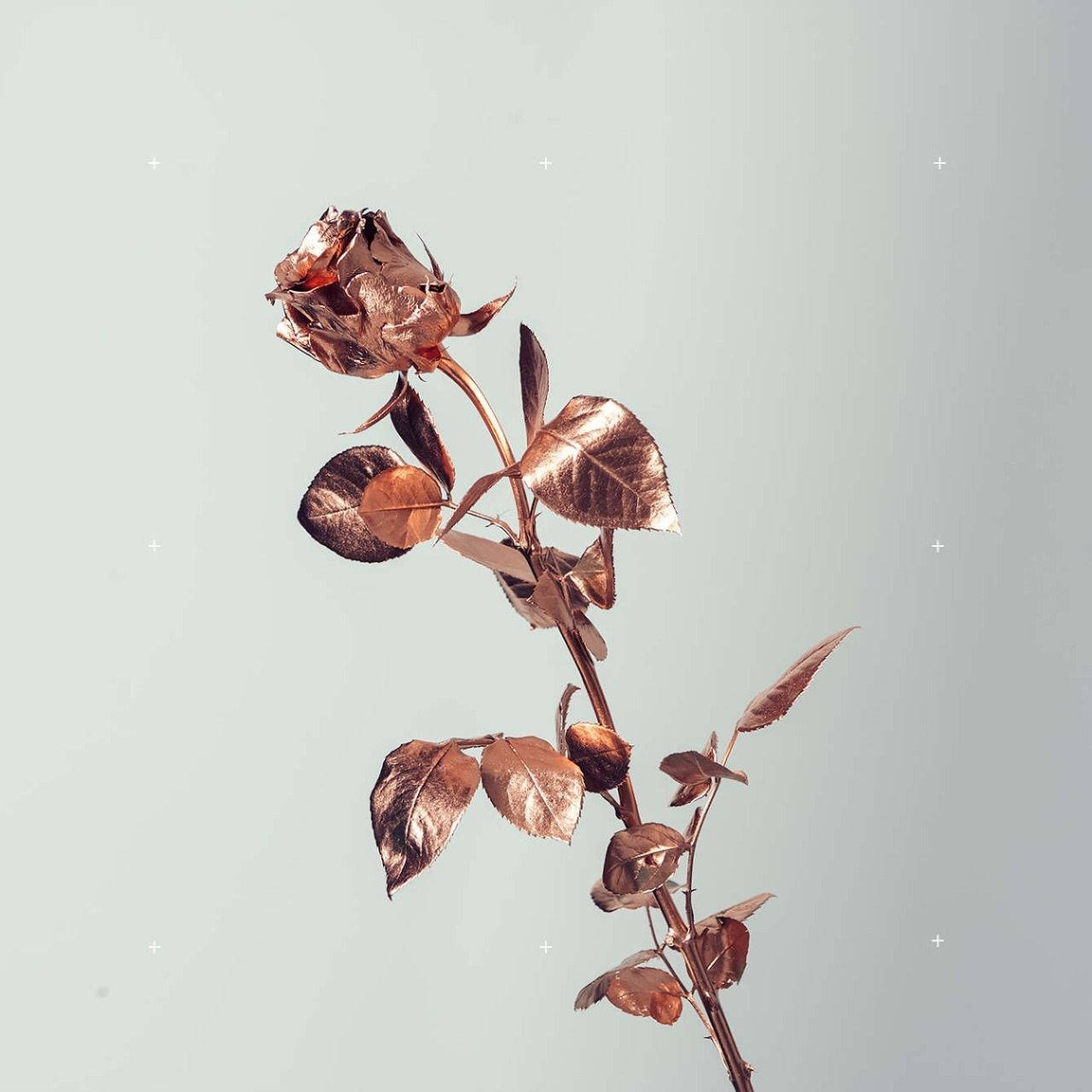 Metallic Rose Gold Flower Wallpaper