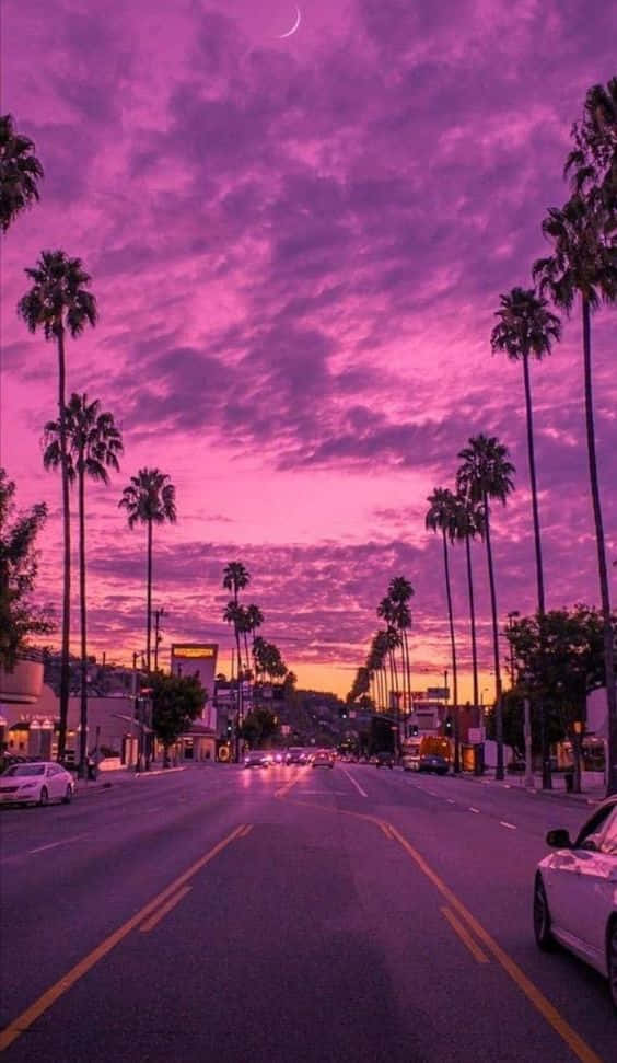 Miami Purple Sky Street Iphone Wallpaper