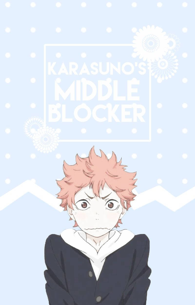 Middle Blocker Shoyo Hinata Wallpaper