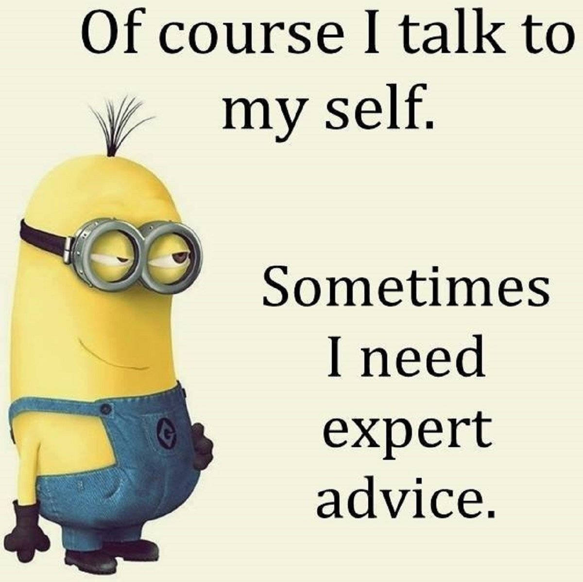 Minion Meme Expert Advice Wallpaper