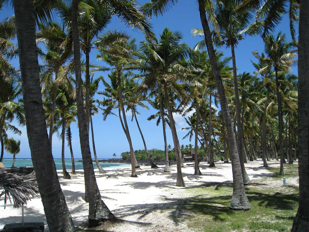 Mitsamiouli Beach Comoros With Trees Wallpaper