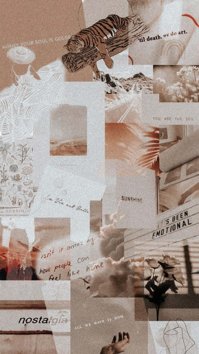 Modern Aesthetic With Neutral Tones Wallpaper