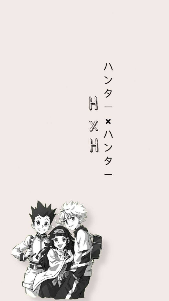 Monochromatic Hunter X Hunter Iphone Wallpaper