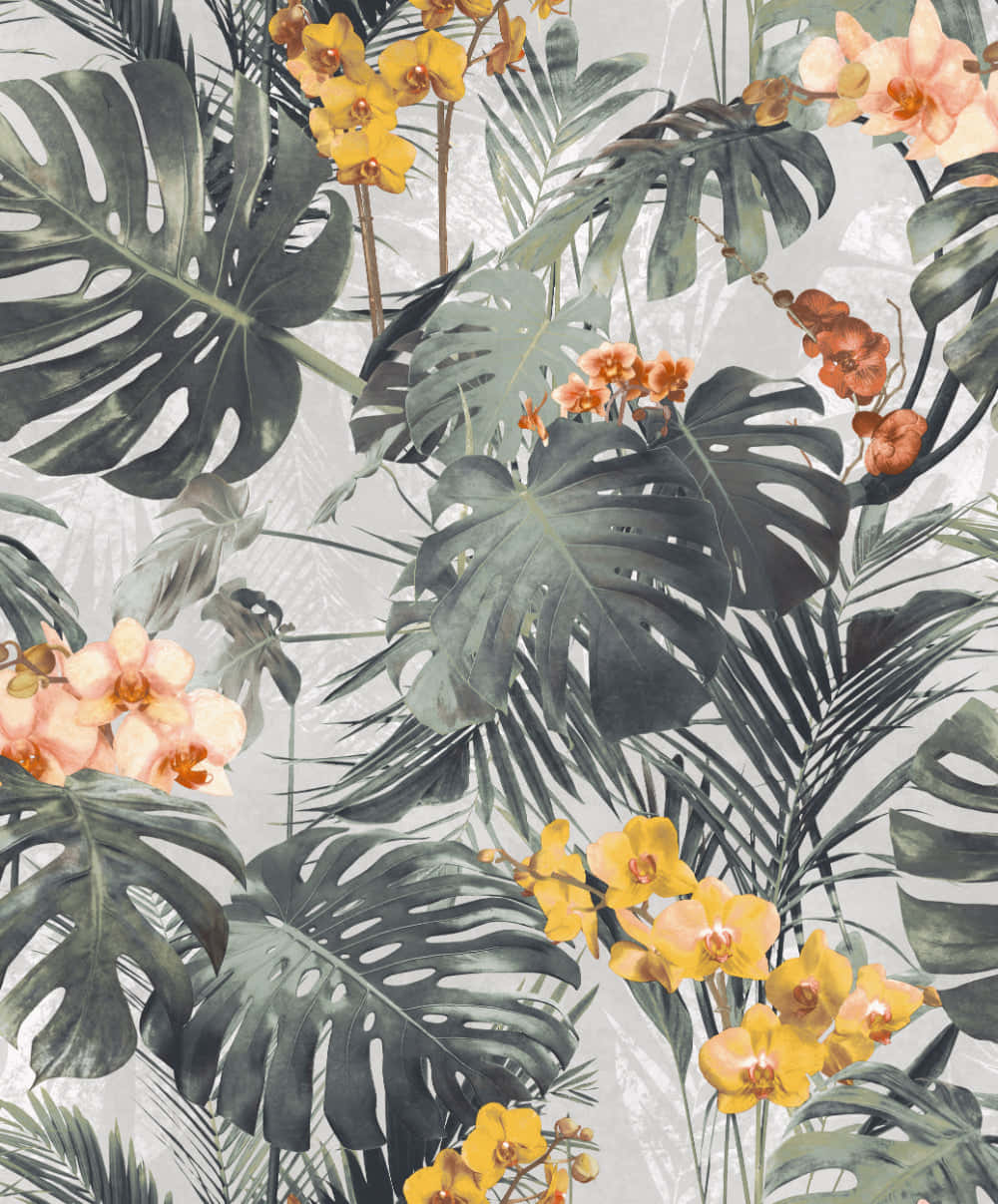 Monstera Leaf And Flowers Botanical Illustration Wallpaper