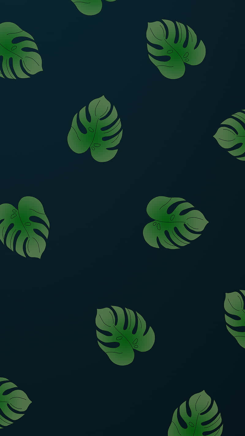 Monstera Leaves Dark Blue Digital Illustration Wallpaper