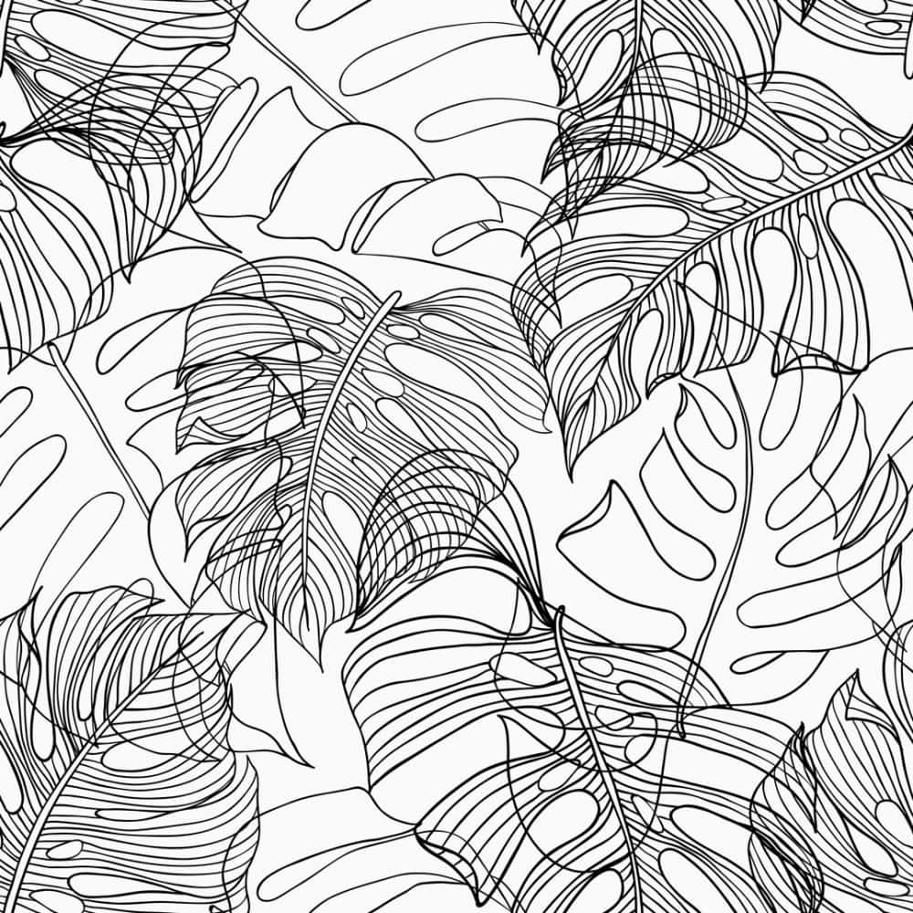 Monstera Leaves Line Art Illustration Wallpaper