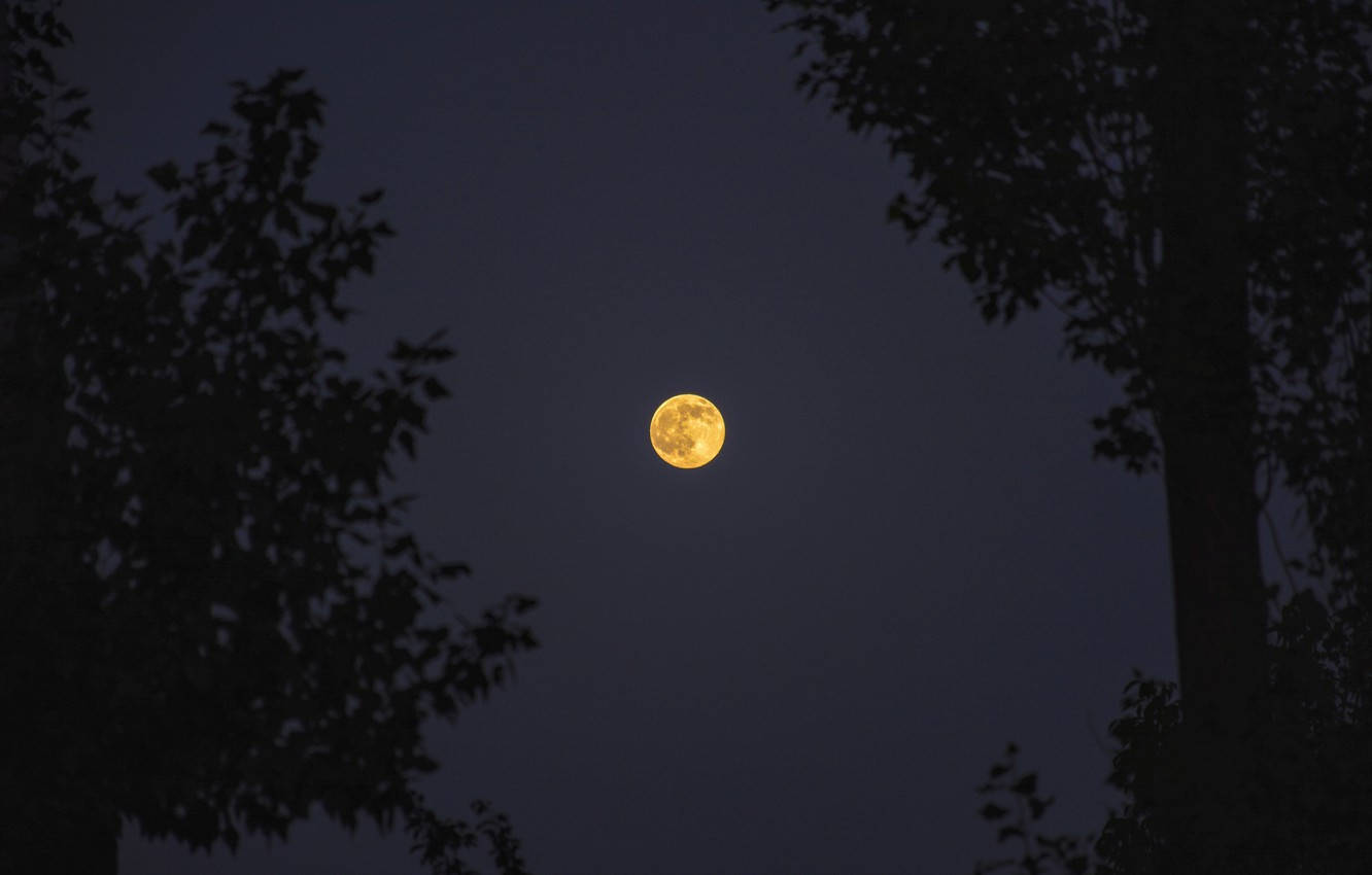 Moon In Yerevan Wallpaper