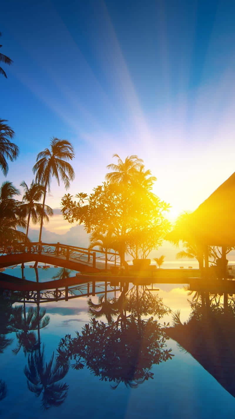 Morning Sunrise Pool Wallpaper