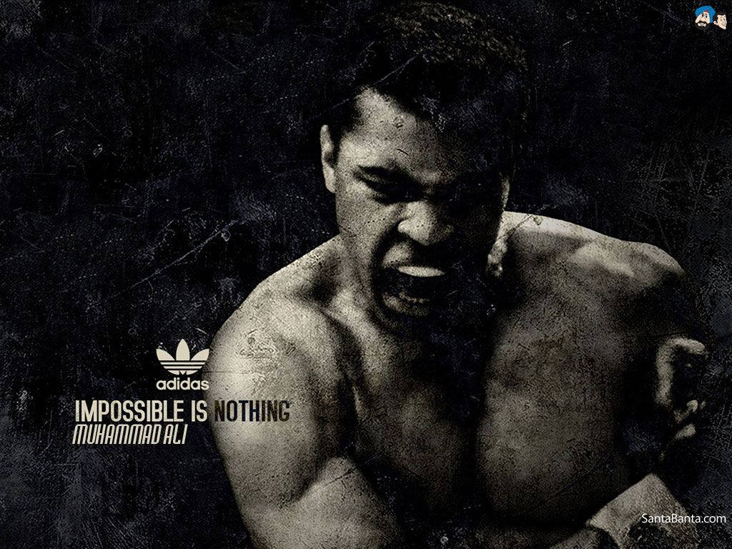 Muhammad Ali Floating Like A Butterfly And Stinging Like A Bee In The Boxing Ring Wallpaper