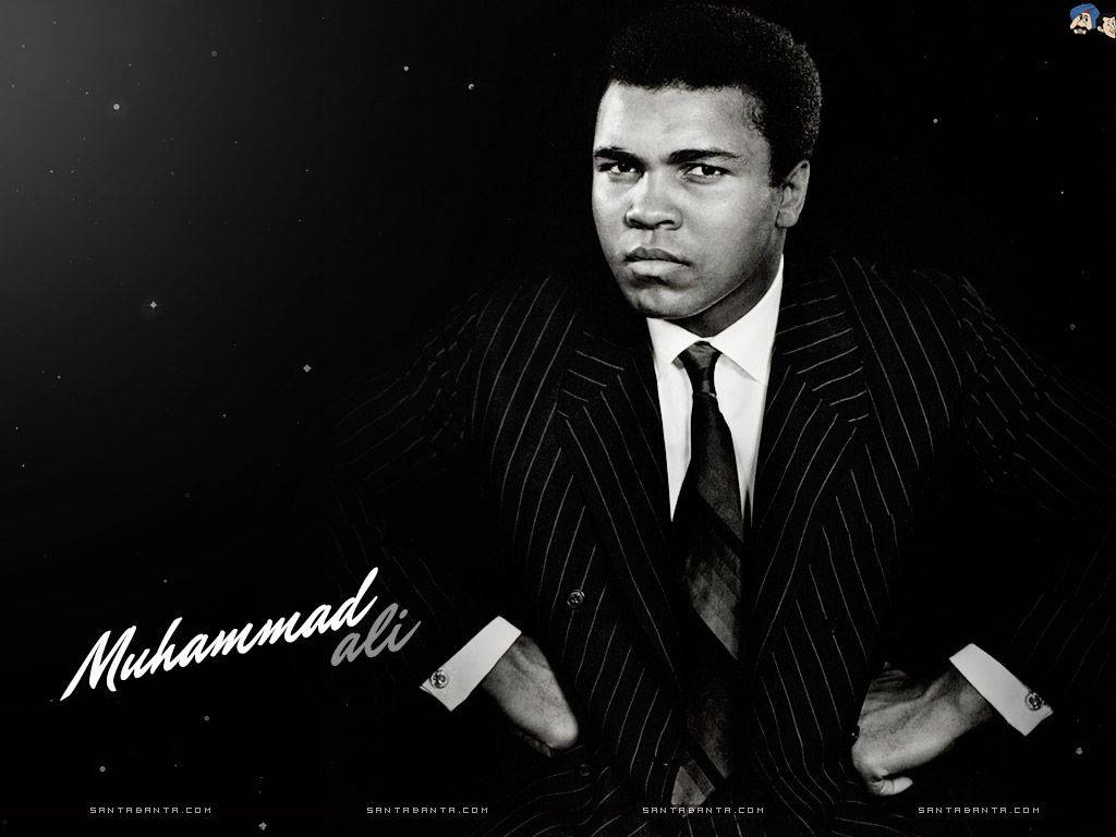 Muhammad Ali In A Stripe Suit Wallpaper