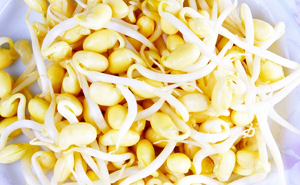 Mung Bean Sprouts Fresh Vegetable Wallpaper