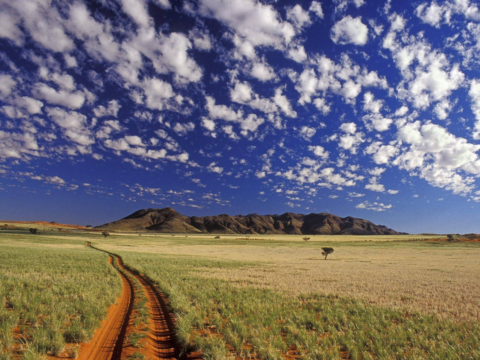 Namibia Tok Tokkie Hiking Trails Wallpaper