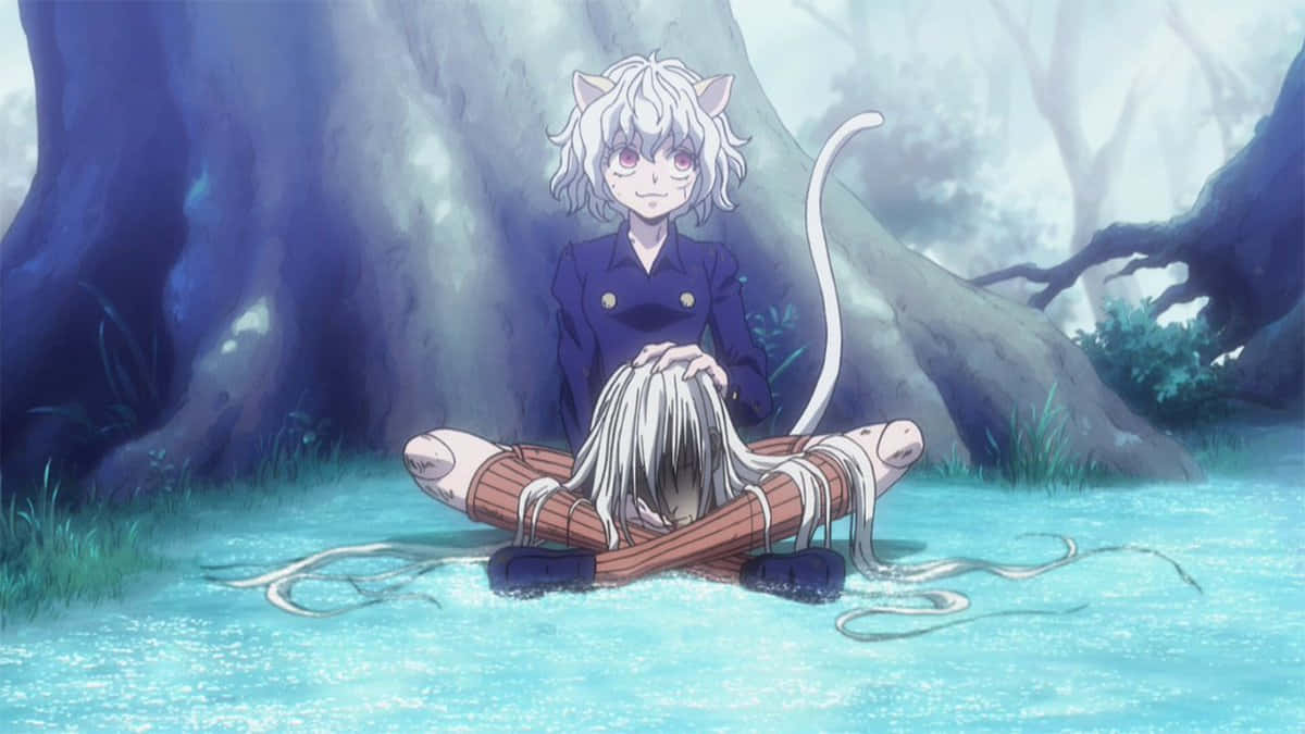 Neferpitou Hunter X Hunter Pfp Wallpaper