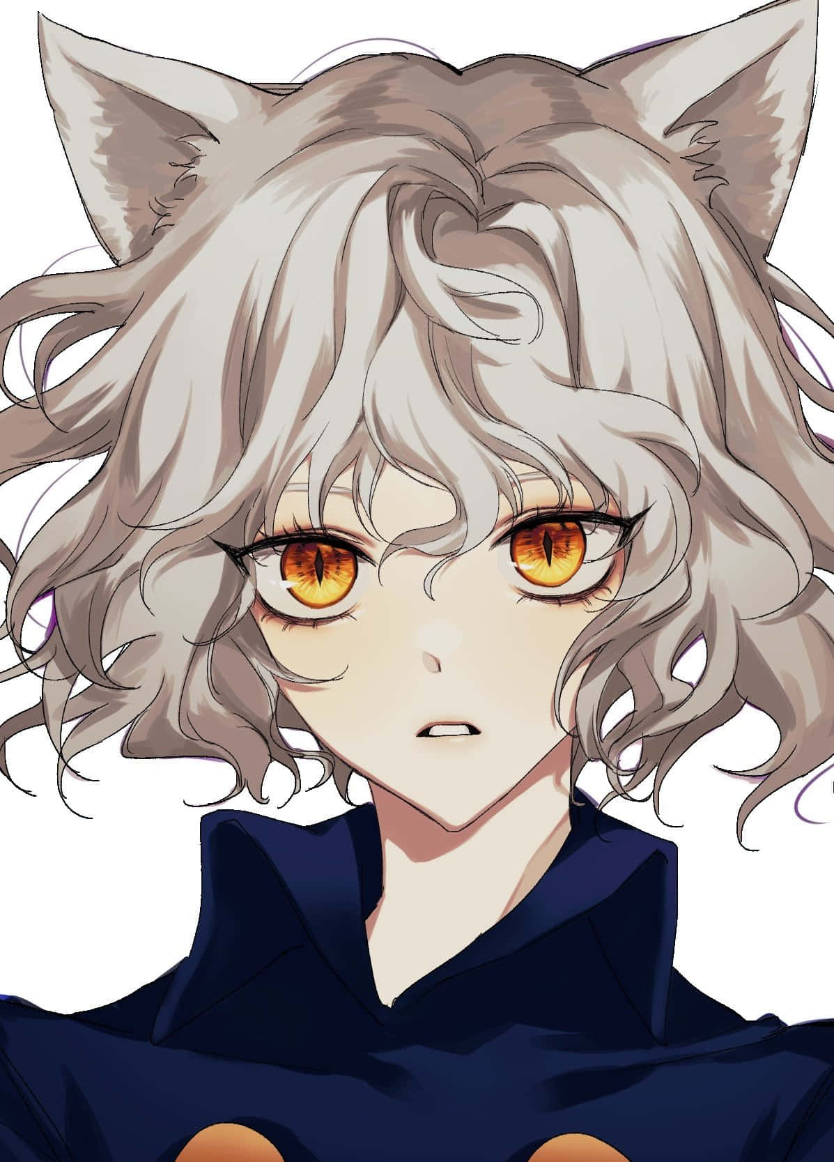 Neferpitou The Cat King, One Of The Royal Guards In Hunter X Hunter Wallpaper