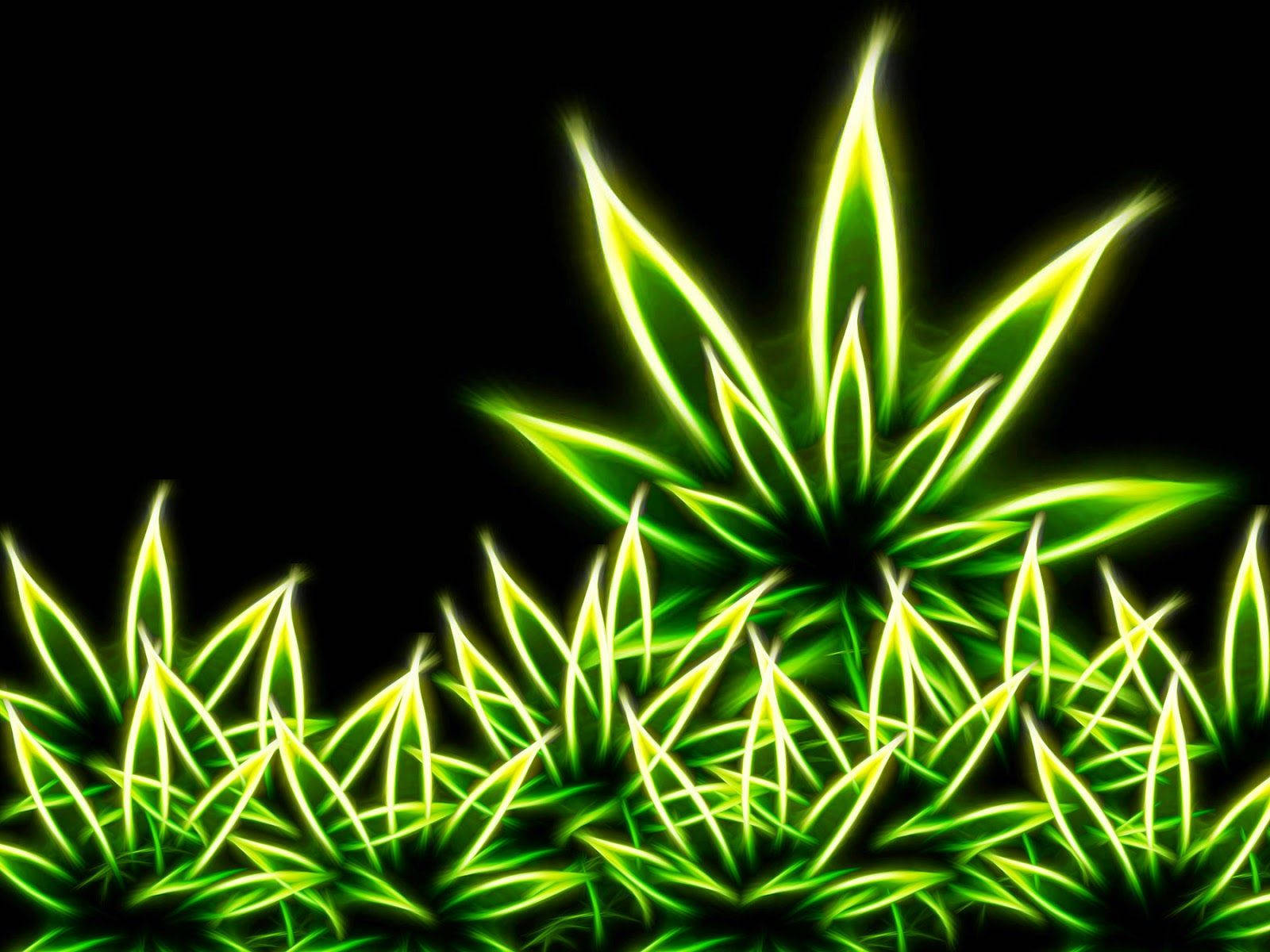 Neon Art Black Background Weed Aesthetics Wallpaper