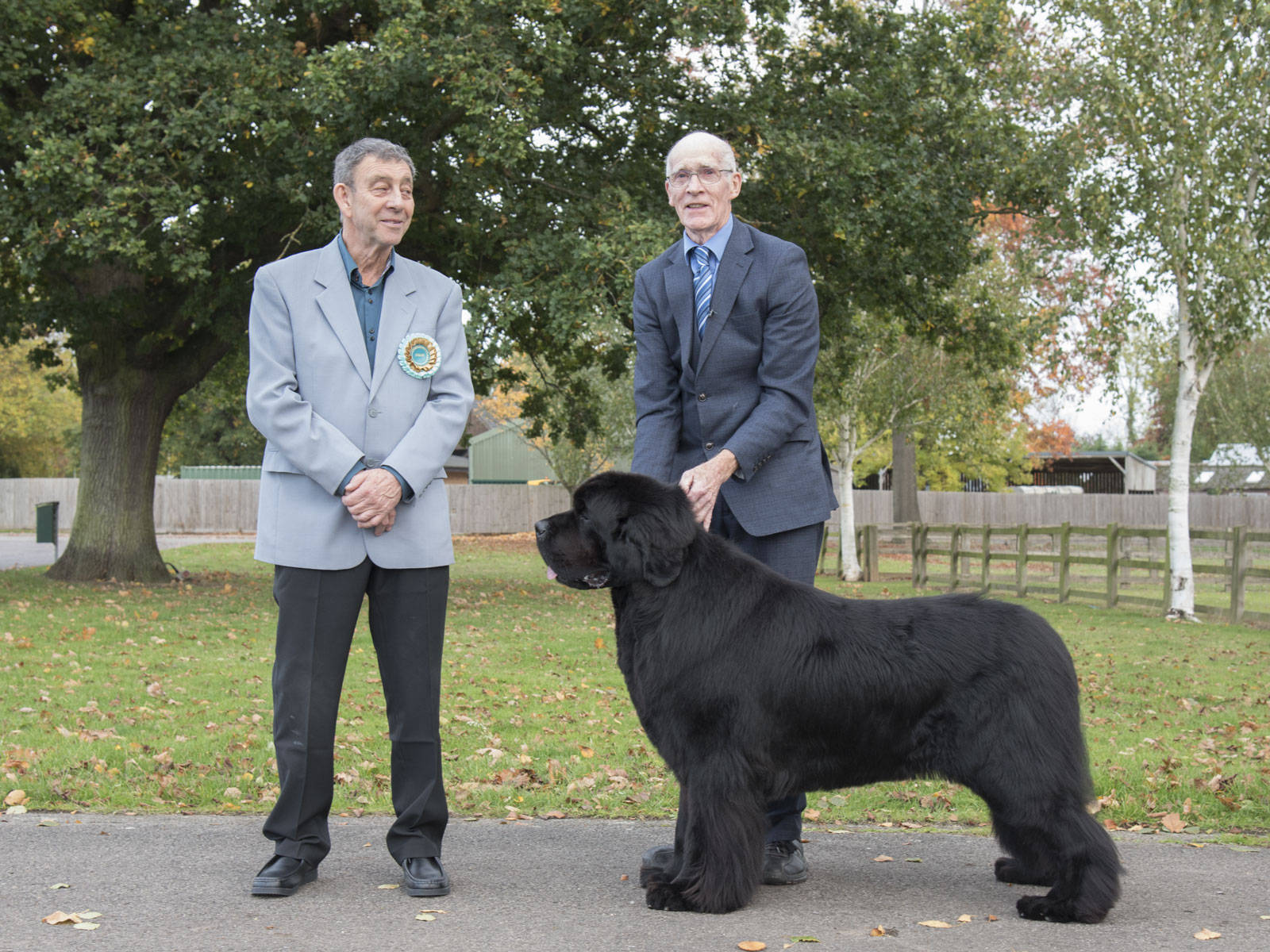 Newfoundland Dog And Its Owners Wallpaper