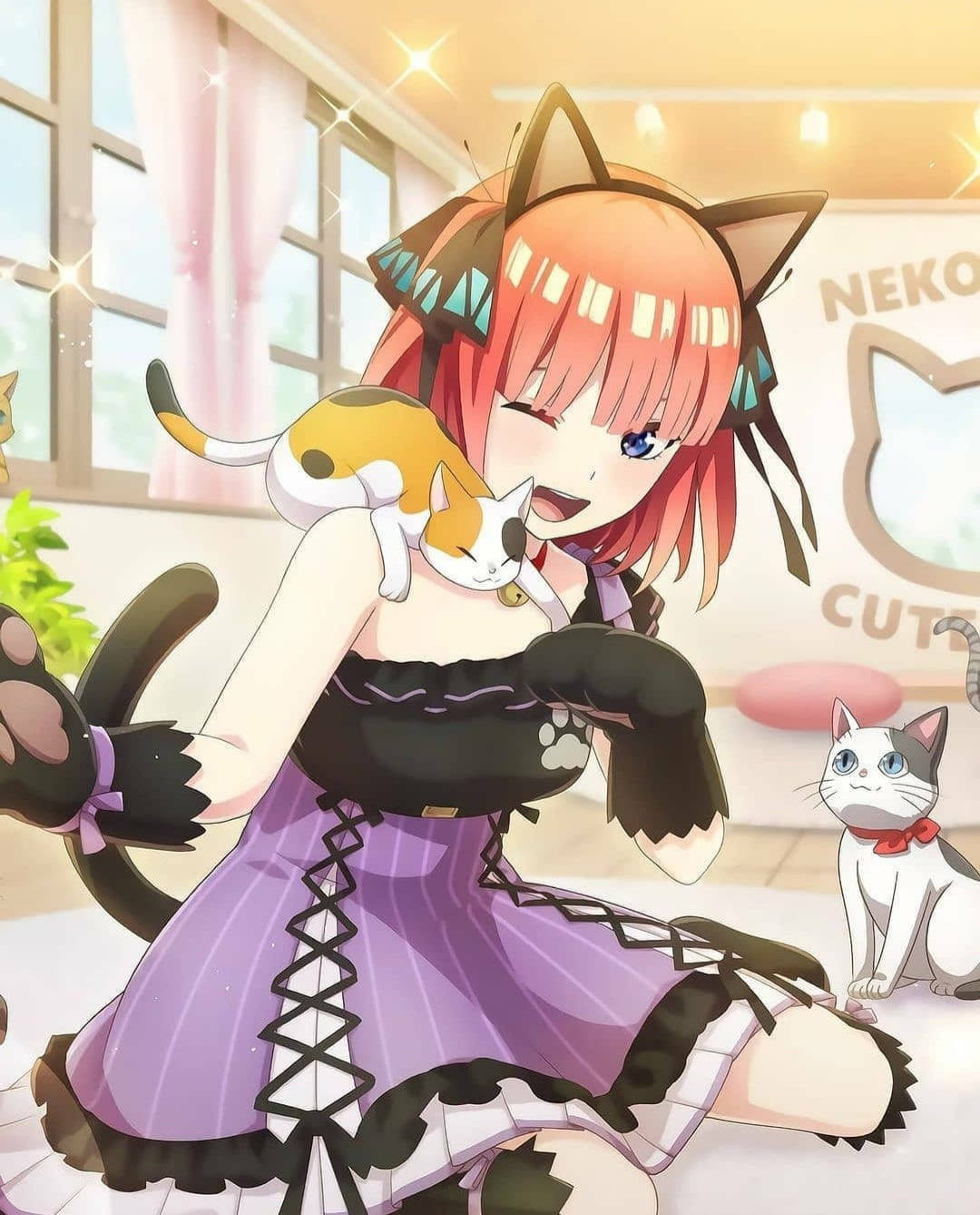 Nino Nakano Playing With Cats Wallpaper