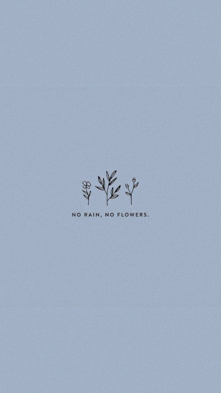 No Rain No Flowers Cute Aesthetic Wallpaper