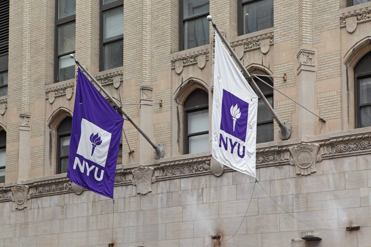 Nyu Steinhardt Banners Wallpaper