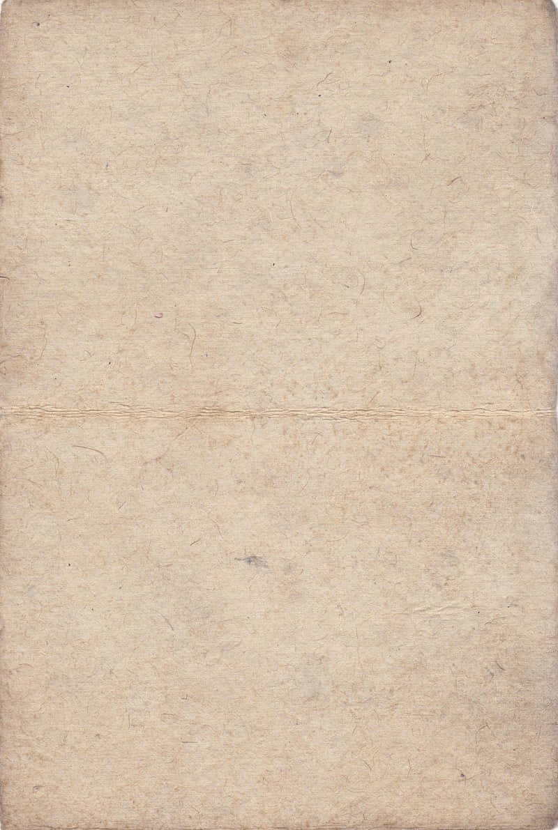 Old Paper Texture Light Gray Parchment Wallpaper