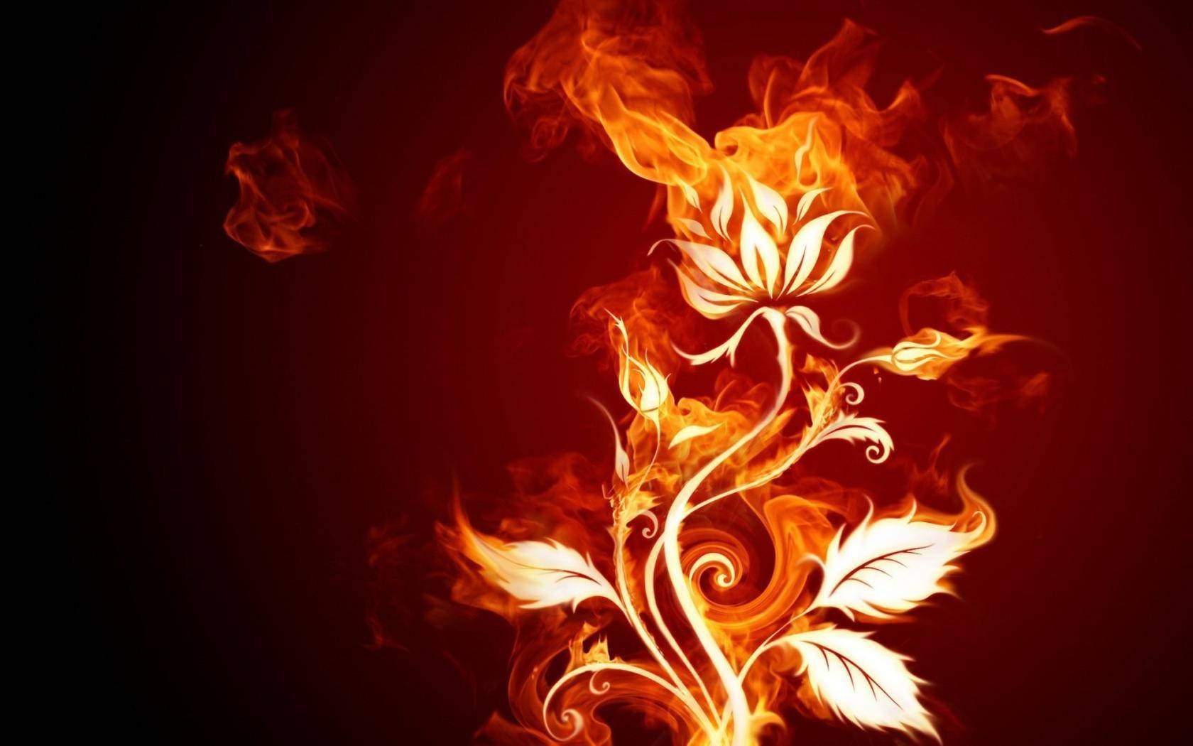 On Fire Flower Wallpaper