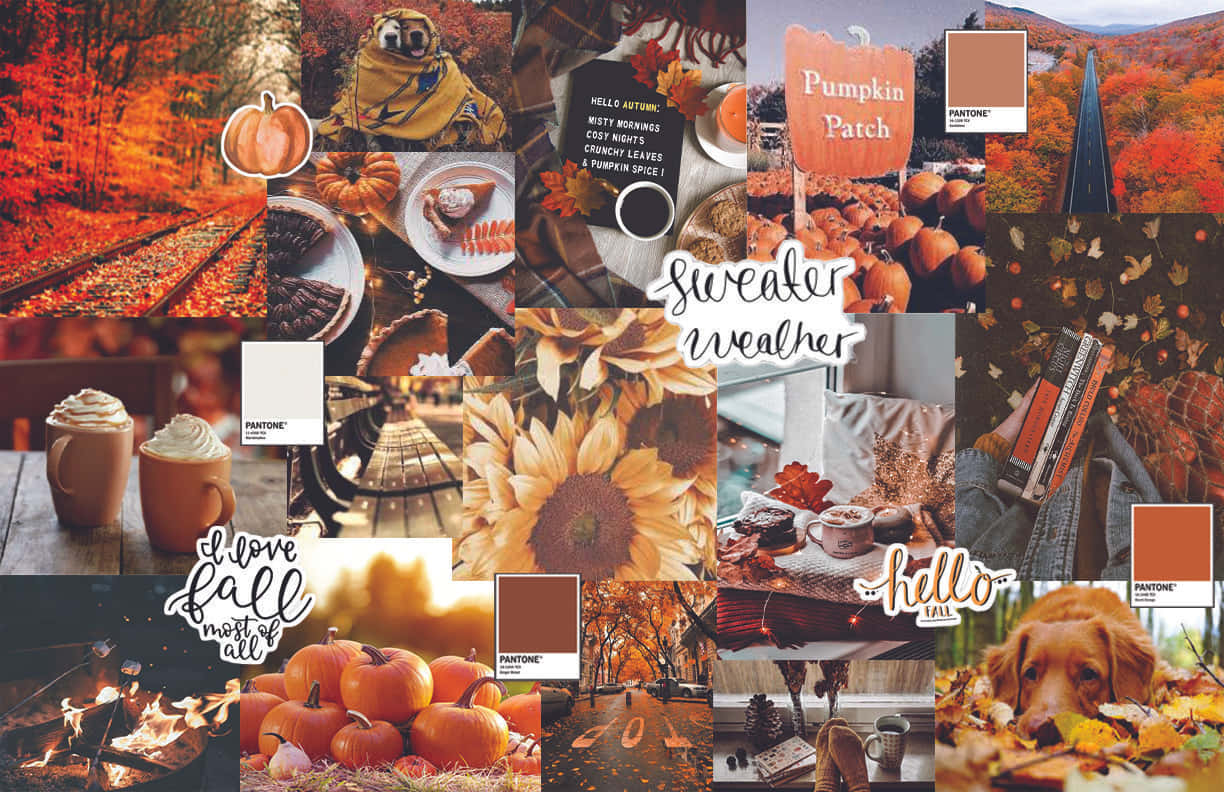 Orange Fall Collage Sweater Weather Wallpaper