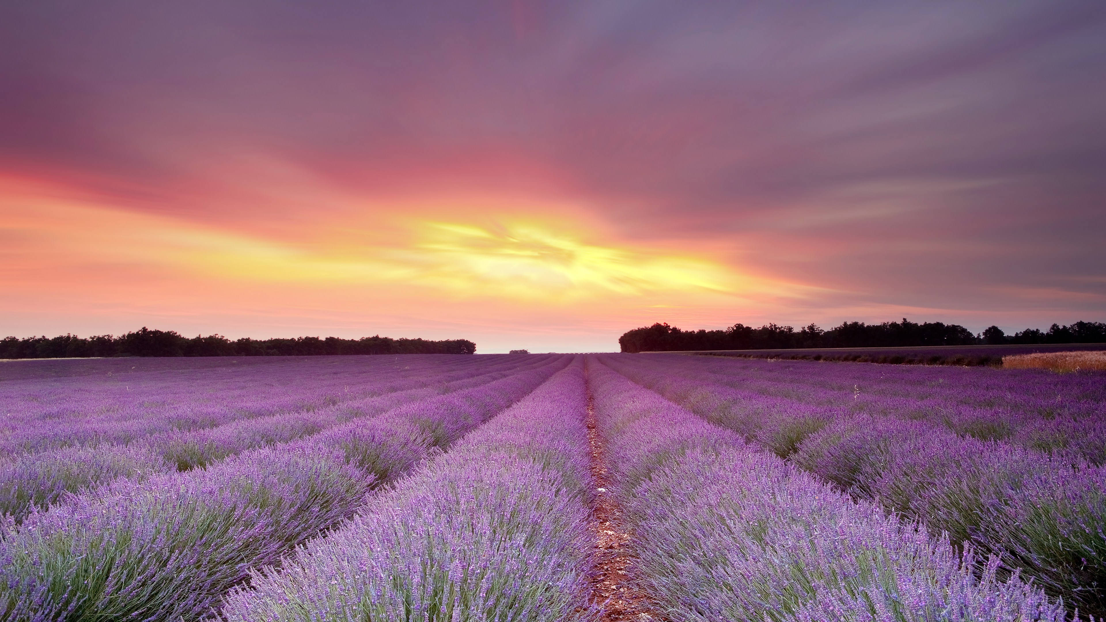 Orange Sky And Lavender Desktop Wallpaper