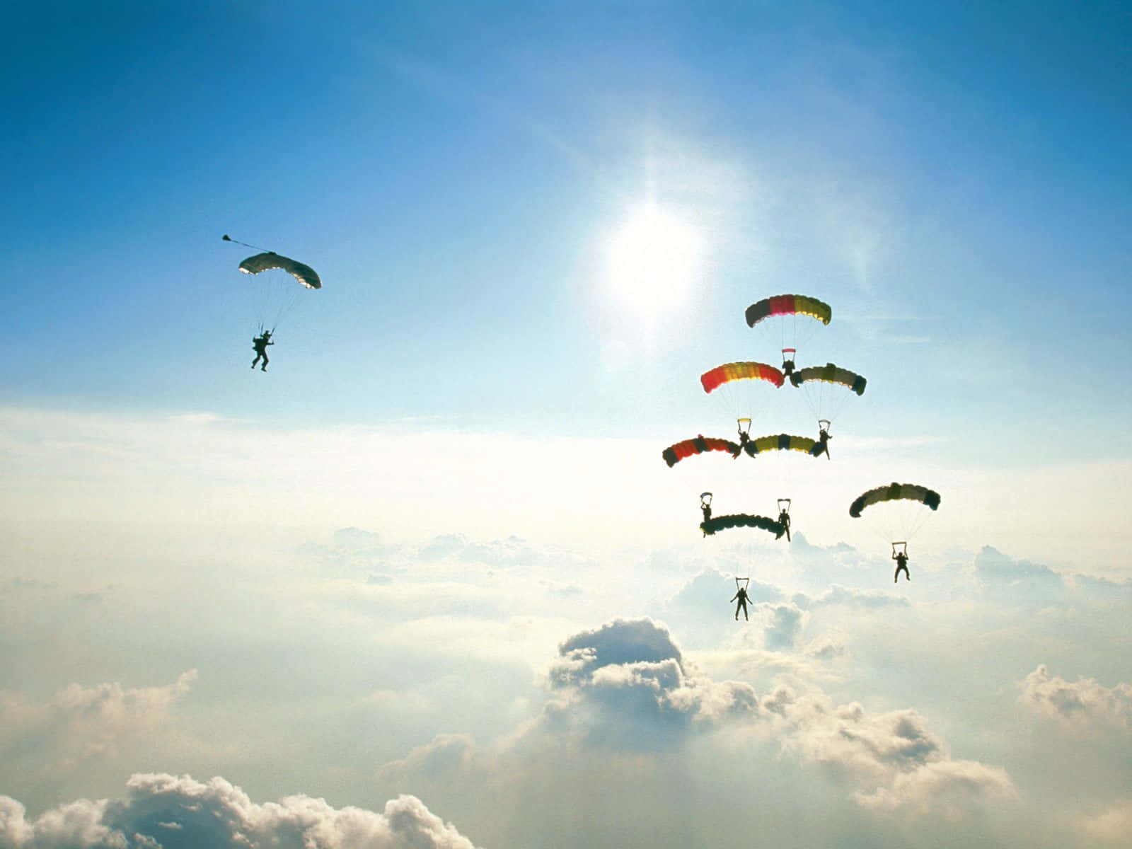 Organized Mass Jump Skydiving Wallpaper