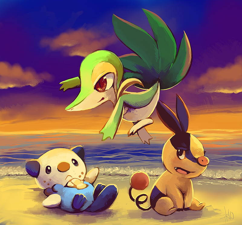 Oshawott On The Seashore Wallpaper