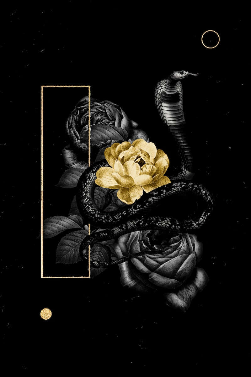 Outshine The Competition With A Black And Gold Aesthetic Wallpaper