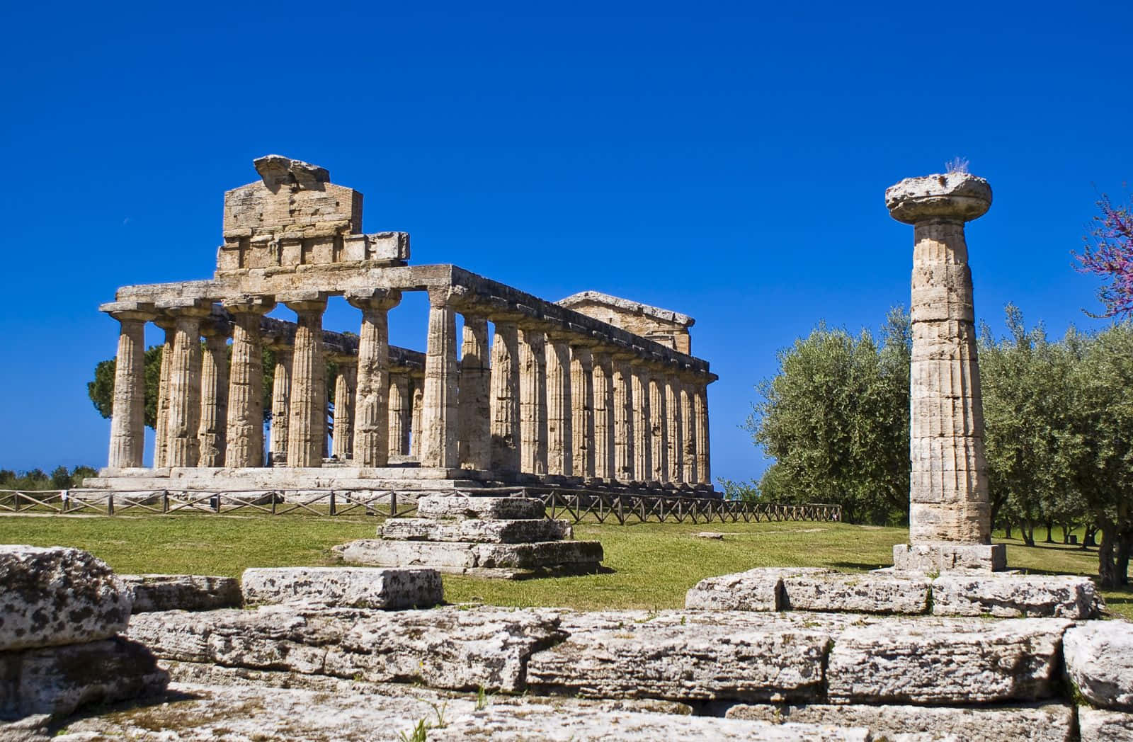 Paestum Singular Column Wallpaper