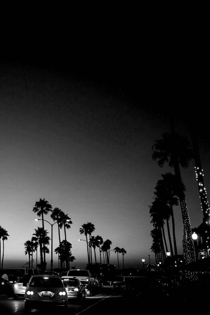 Palm Trees Highway Dark Grey Iphone Wallpaper