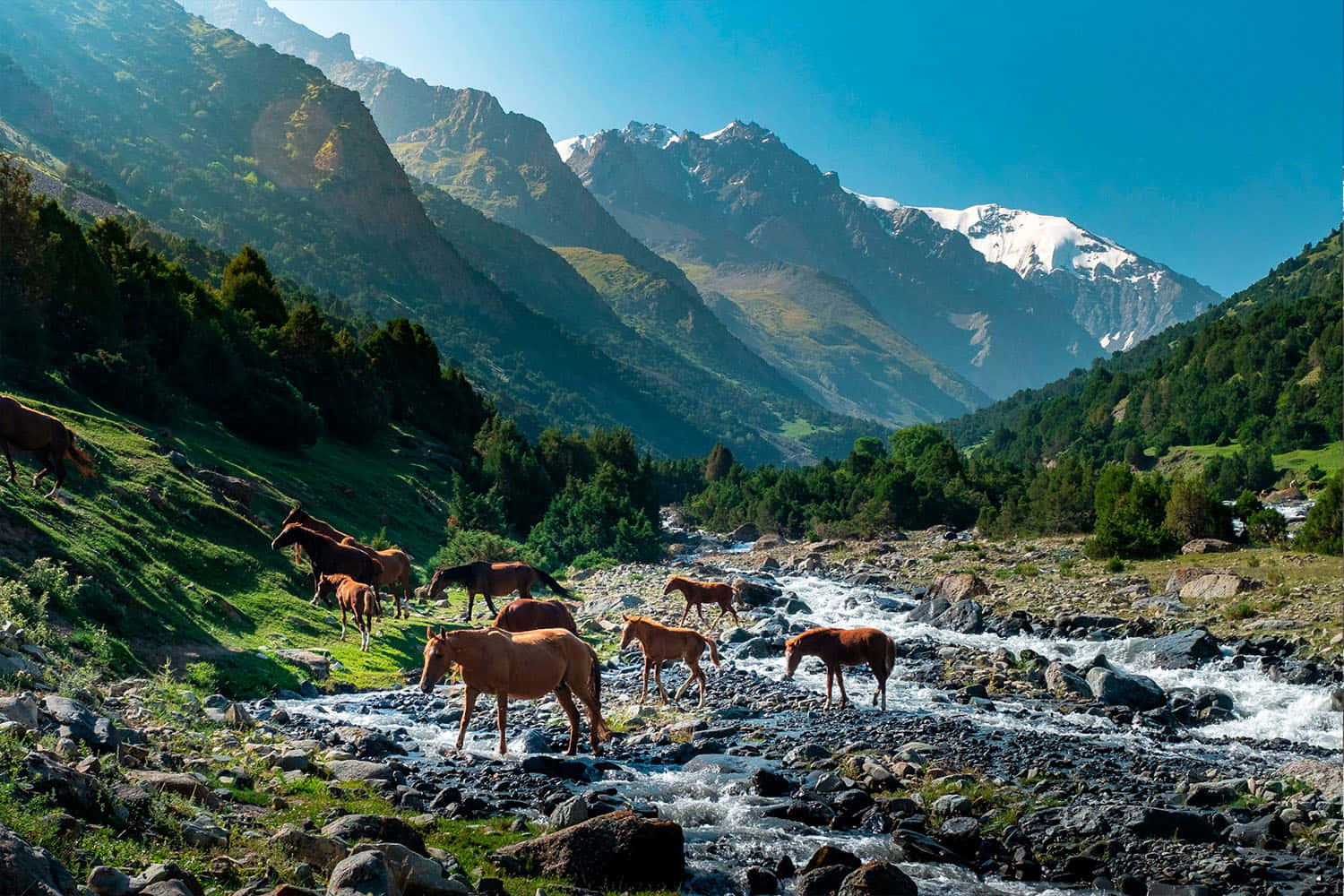 Pamir Alak Trek In Osh Kyrgyzstan Wallpaper