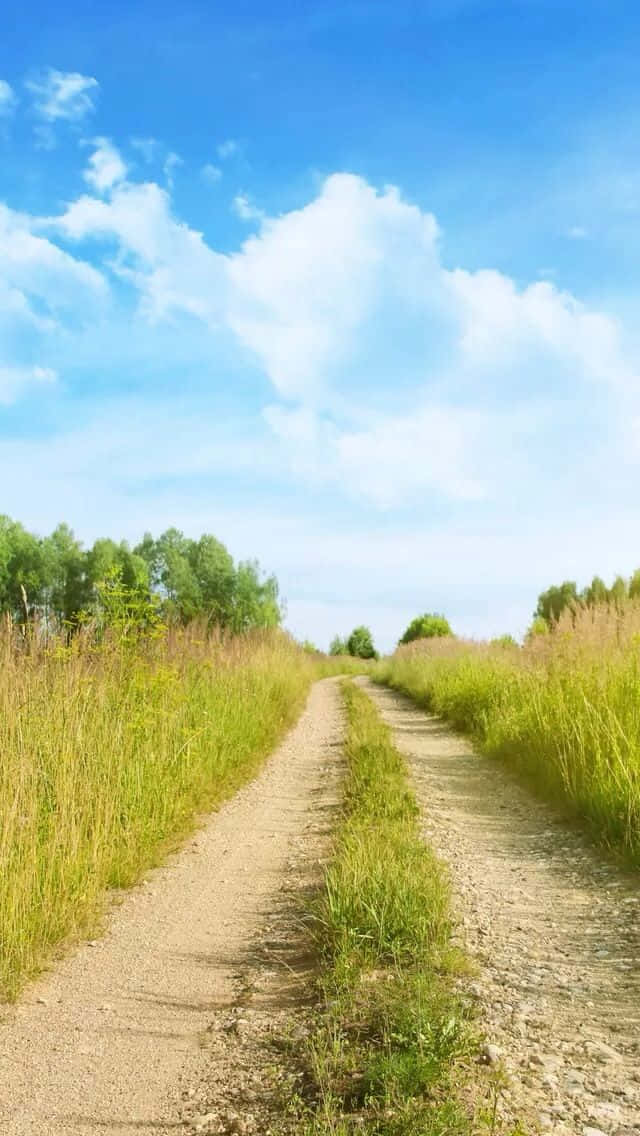 Path In The Field Wallpaper