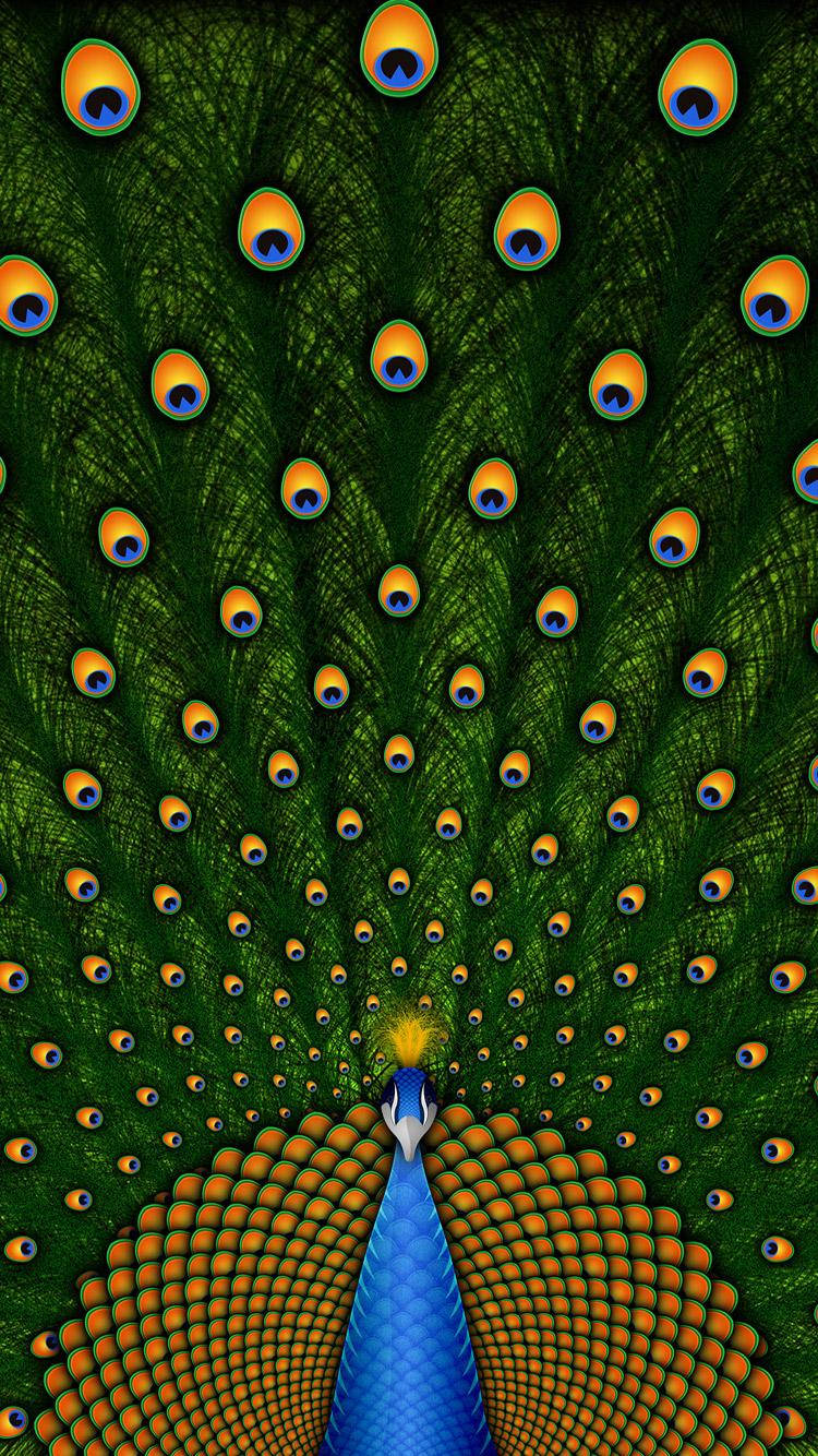 Peacock Train Beautiful Phone Wallpaper
