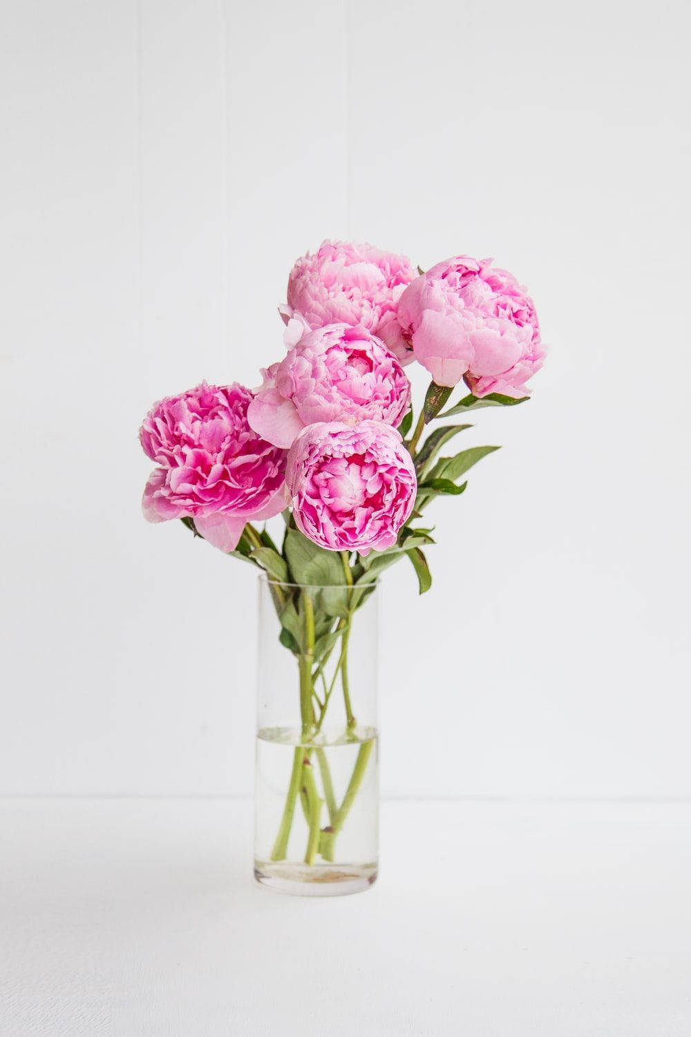 Peony Flowers In Glass Vase Wallpaper