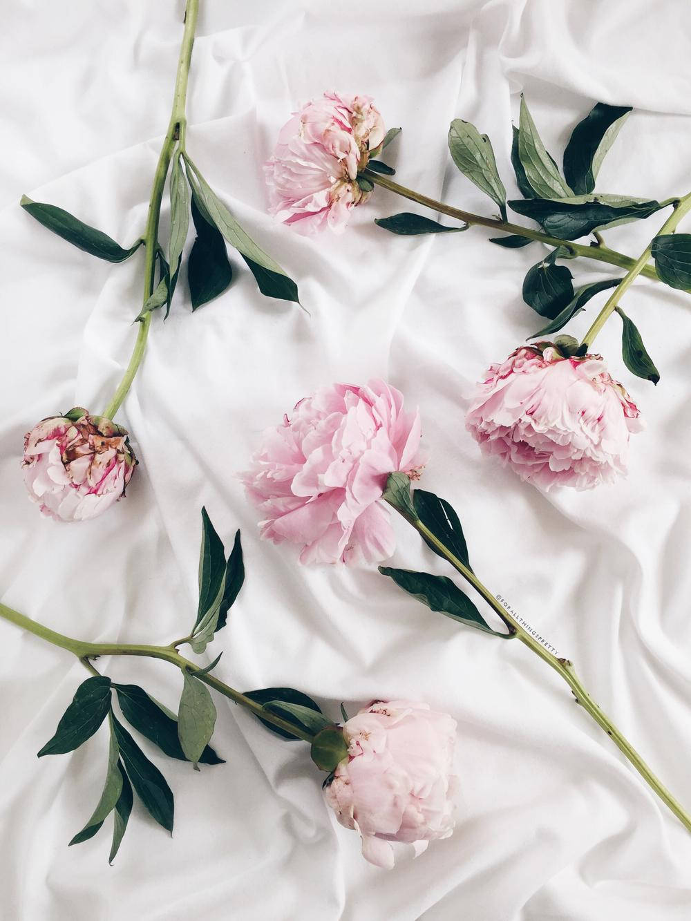 Peony Flowers On Satin Sheet Wallpaper