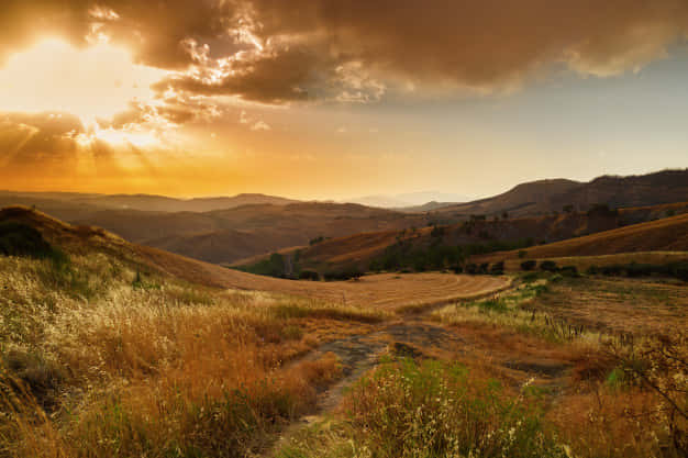 Perfect Day Of Beautiful Sunshine Wallpaper