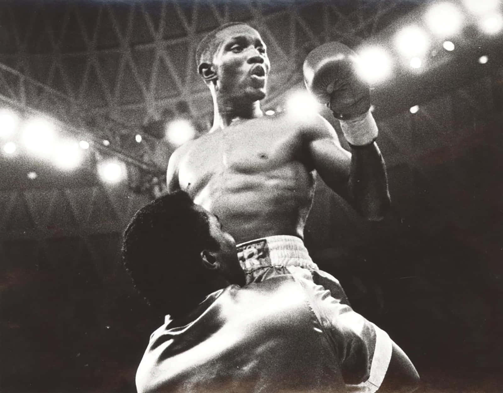 Pernell Whitaker Celebrating Win Wallpaper