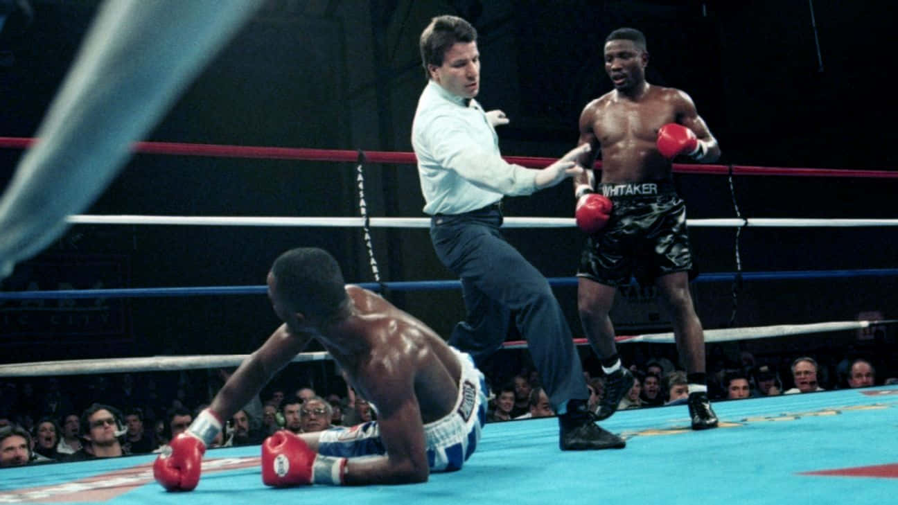 Pernell Whitaker Opponent Knock Down Wallpaper