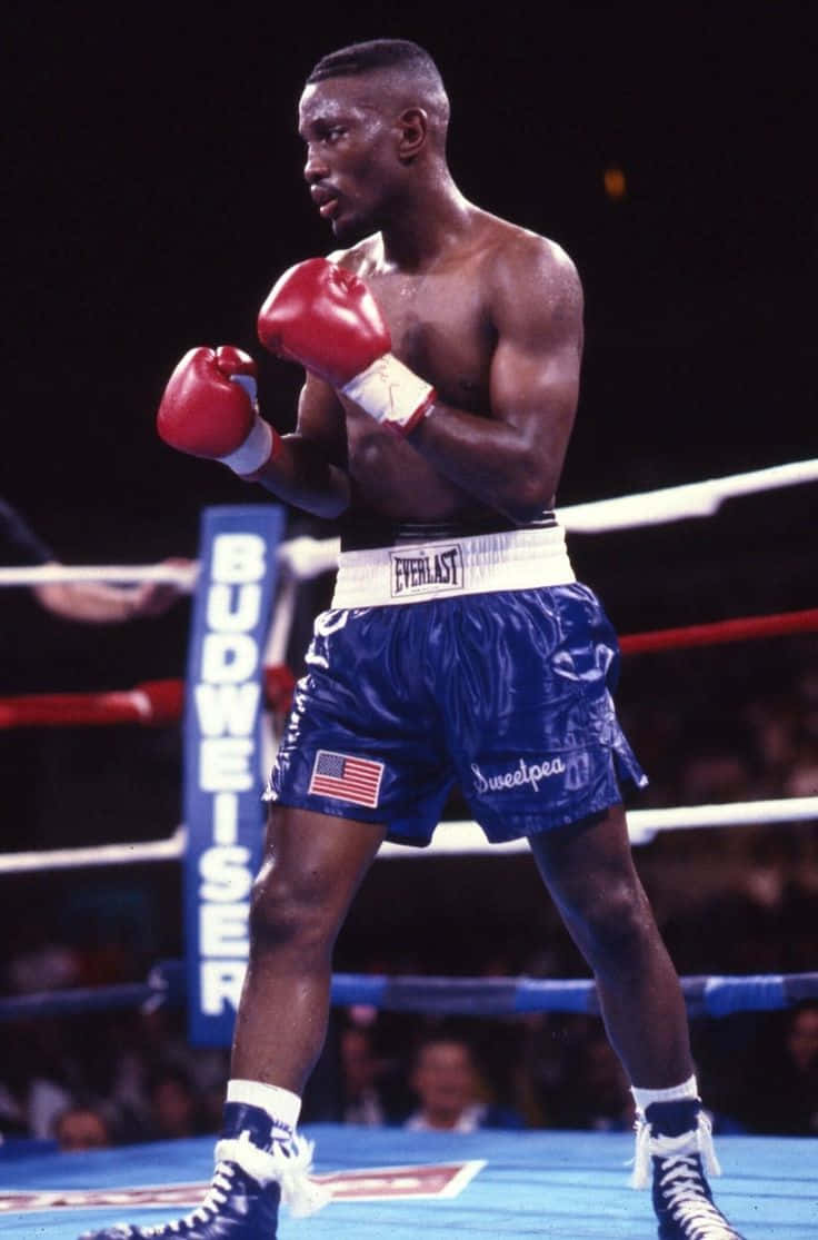 Pernell Whitaker Waiting For Opponent Wallpaper