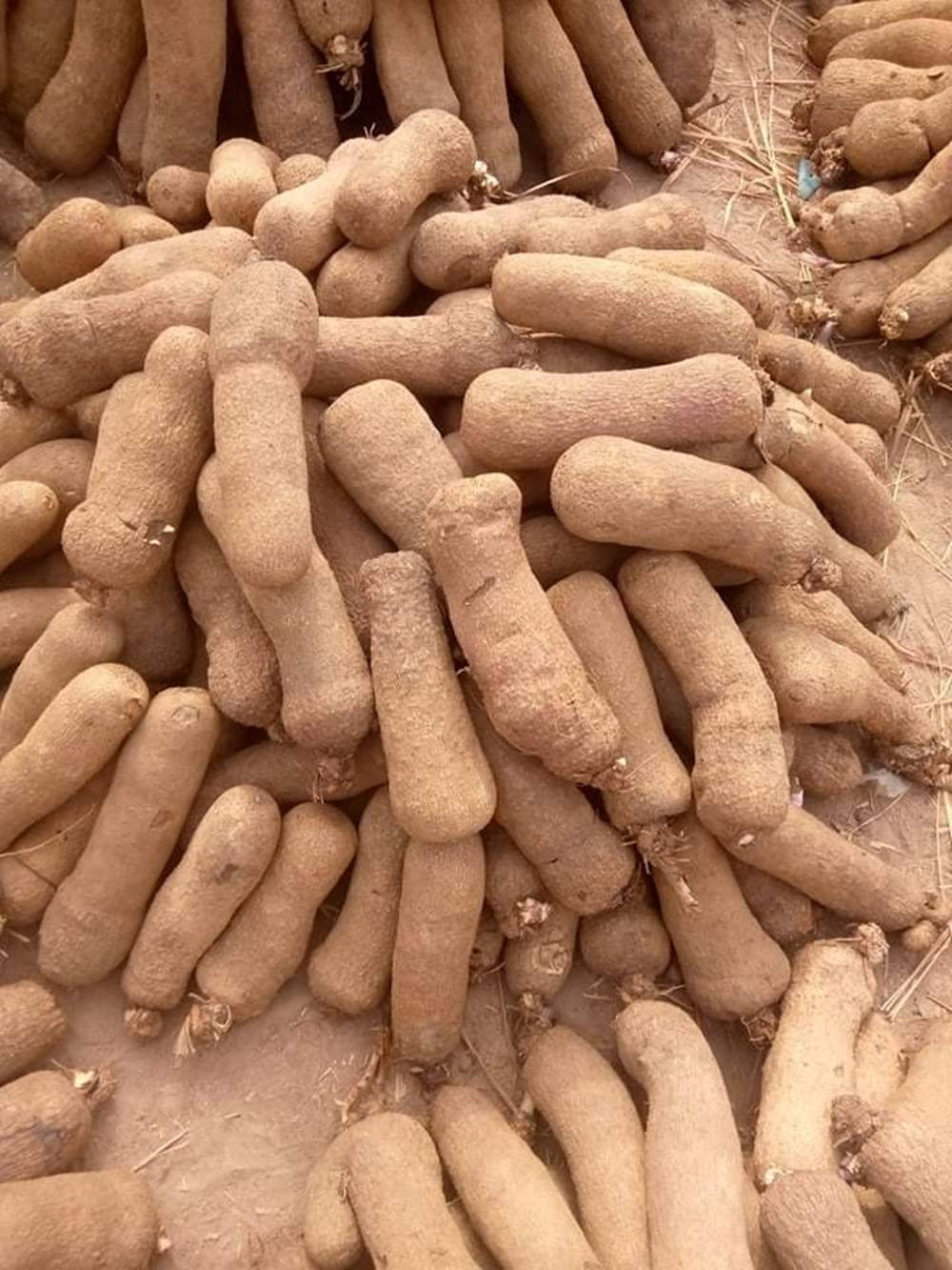 Pile Of Brown Yam Wallpaper