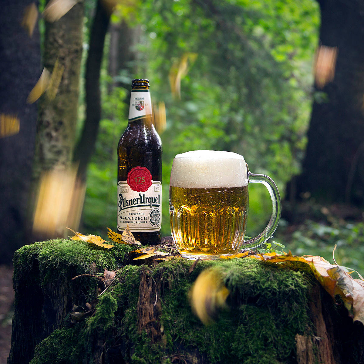 Pilsner Urquell Forest Wallpaper